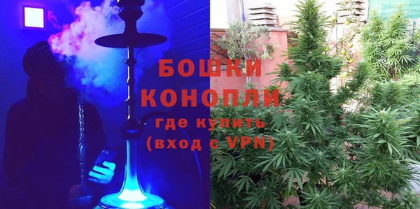 твердый Богородск