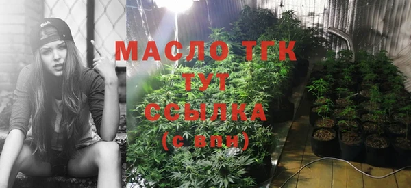 твердый Богородск