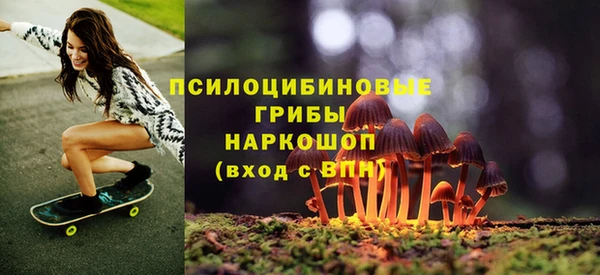 mdpv Богородицк