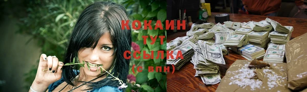ешки Богданович
